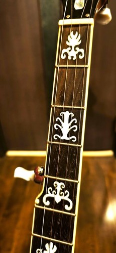 Feeling string archtop banjo - 5-string,