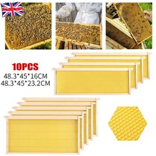 10 Pack Sturdy Wood Langstroth