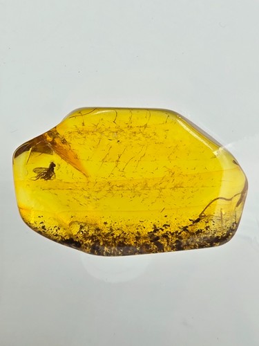 Genuine baltic amber with - baltic,