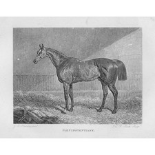 PLENIPOTENTIARY Racehorse, Winner of the 1834 Epsom Derby - Antique Print 1850