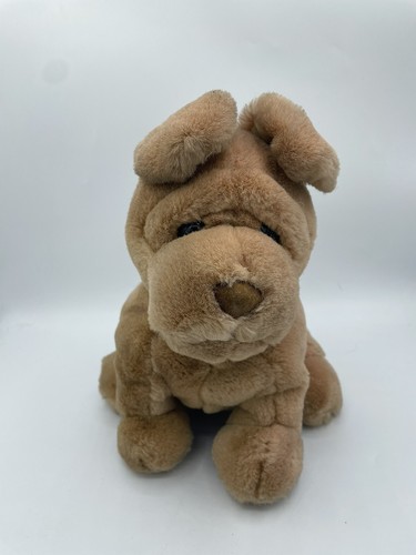 Pucker pup shar pei - pup, sharpei