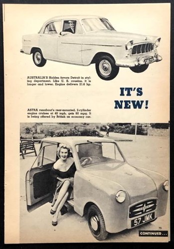 Astra little horse british - little,