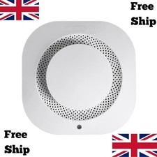 Independent Smoke Alarm Fire