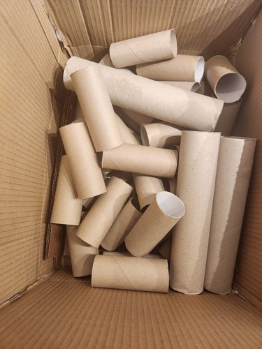 100 empty toilet roll - 100,