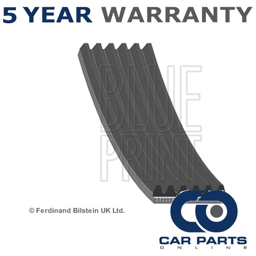 Alternator belt cpo fits - alternator,