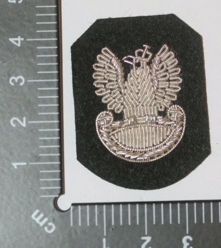 Wwii copy polish - wwii, army