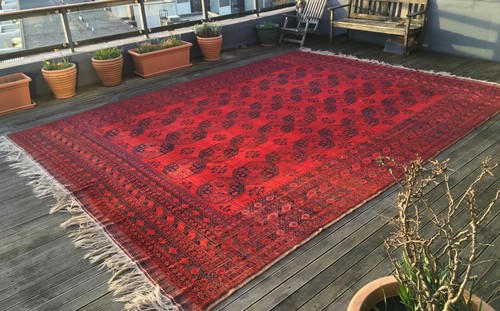 Exceptionally large rare - large,