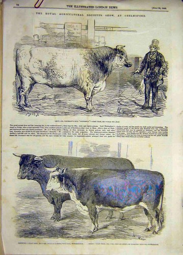 Original old antique print - old,
