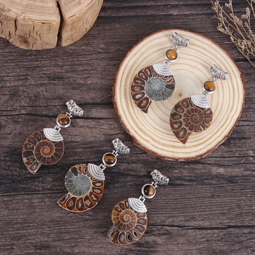Chakra reiki ammonite - ammonite, fossil
