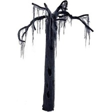 Boland Swamp Tree Hanging