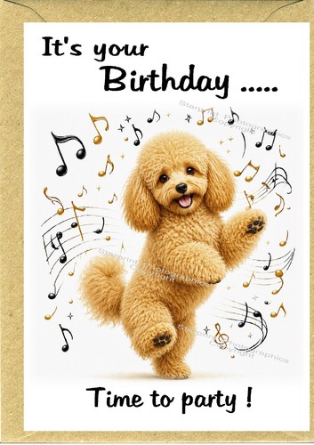 Poodle apricot dog birthday - apricot,