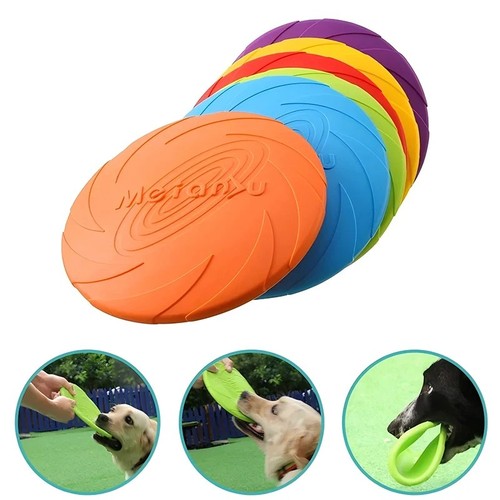 Dog training frisbee - dog,