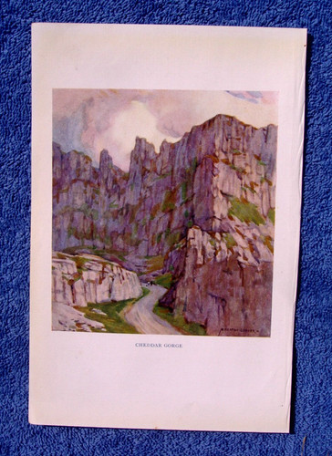 Cheddar gorge somerset - gorge,
