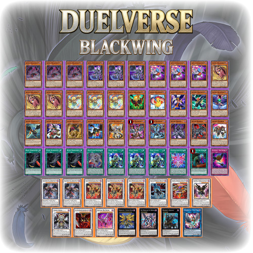 Yugioh card blackwing - 55,