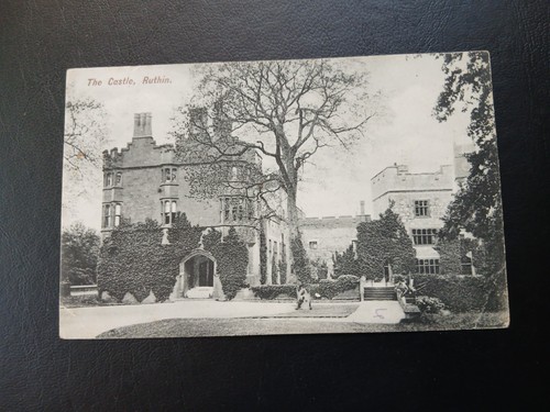 The castle ruthin - the,