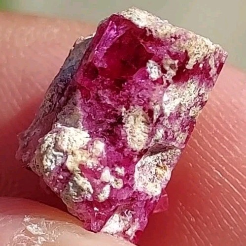 Ultra gem red - red, /