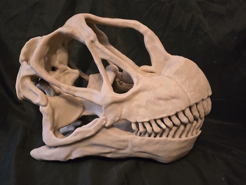 Large camarasaurus dinosaur - camarasaurus,
