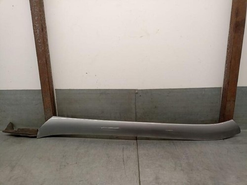 A1406980289 molding