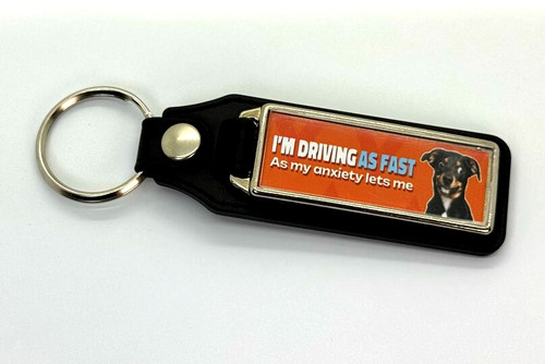 Keyring driving to fast - to,