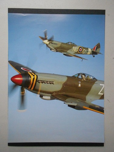 Airforce aviation print - airforce,