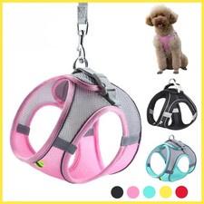Puppy Harness Set Dog