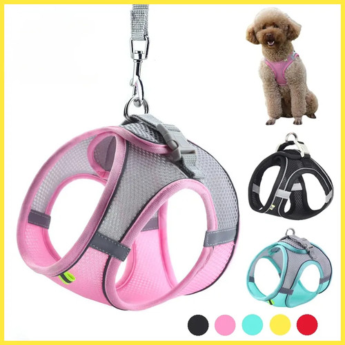 Puppy harness set dog - puppy,