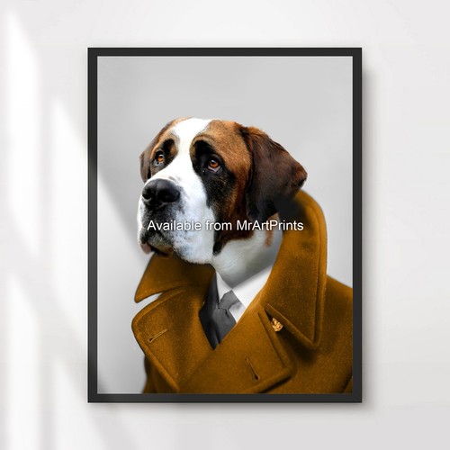 Bernard dog portrait - bernard,