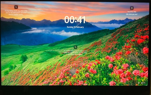 Dell xps 9550 - xps, 15”