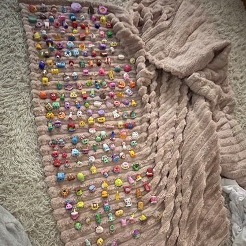 Shopkins the bag included - shopkins!,