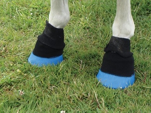 Shoof tubbease sock use to - sock,