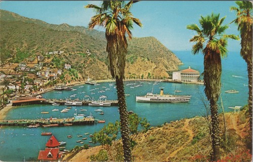 Ale postcard santa - postcard, catalina