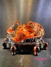 2.7LB Natural Red Ghost