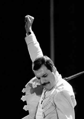 Freddie mercury queen - freddie, british