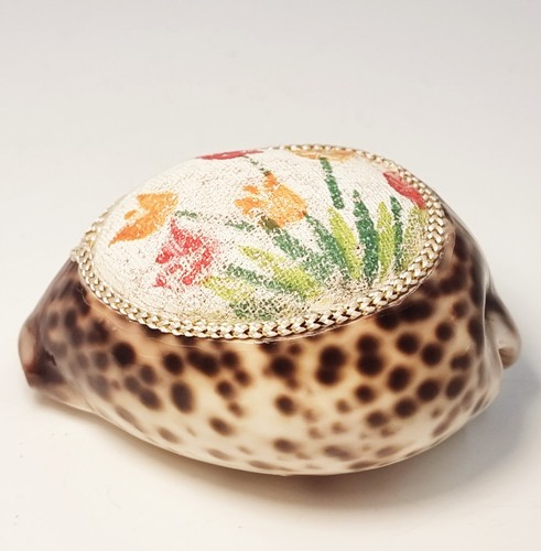 Pin cushion cowrie - pin, seashell
