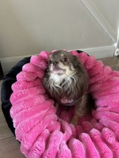 Luxury large snuggle sack - snuggle,