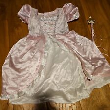 Girls Fairy Princess Costume