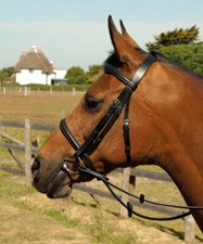 Heritage English Leather Plain Bridle Raised Cavesson | Black or Havana