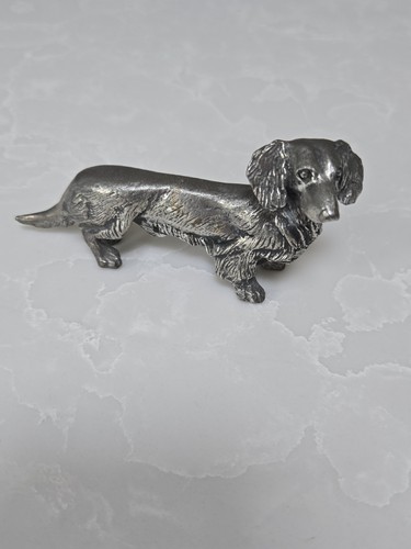 Silver coloured dachshund