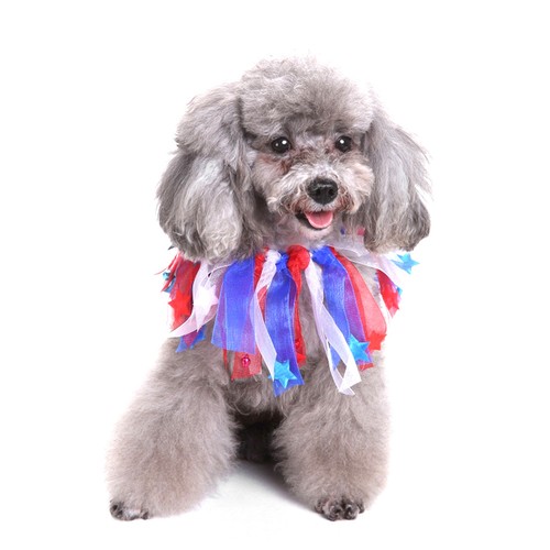 Decorative pet collars - ,