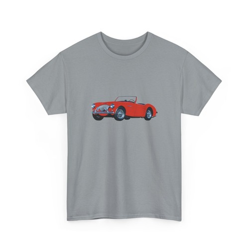 1955 austin healey 100 bn1 - 100-4,