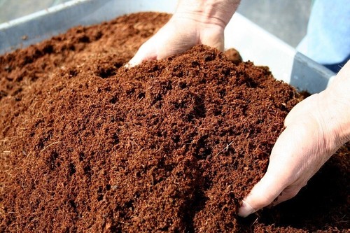Coconut coir coco peat - coconut,