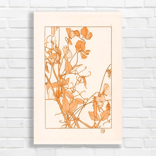 Elegant floral botanical - floral,