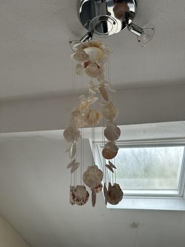 Shell wall decor - decor, seashells