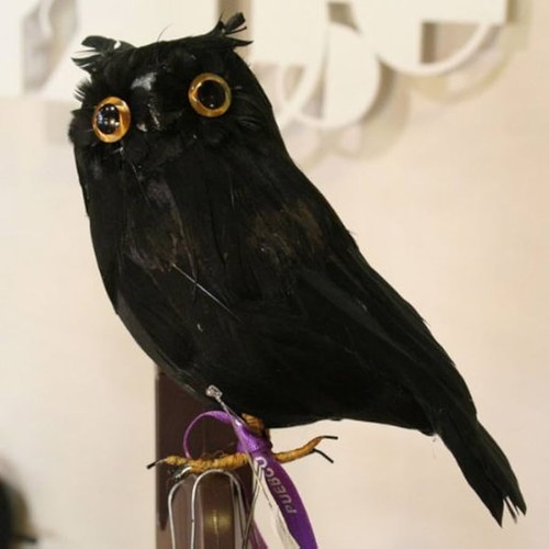 Puebco artificial birds owls - artificial,