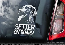 Irish Setter - Car Window