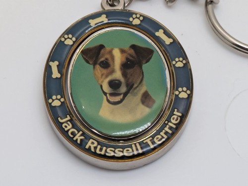 Jack russell terrier - russell, dog