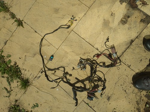 Gilera 125 wiring harness - gilera,