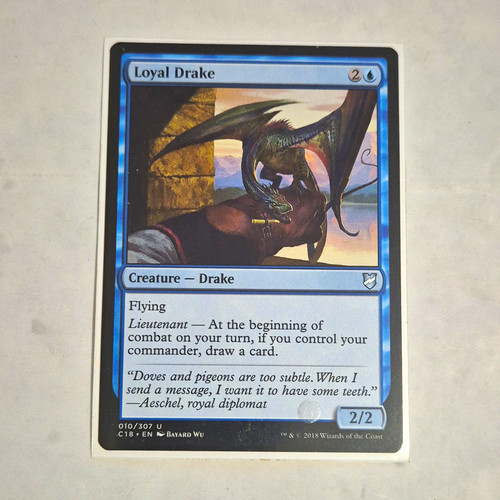 Wizards the coast - wizards, loyal