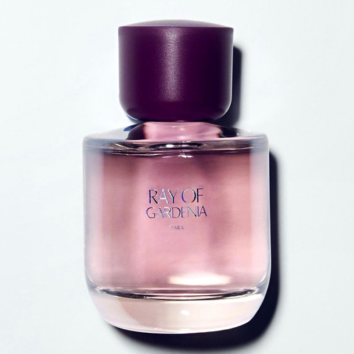 Zara ray gardenia - of, de