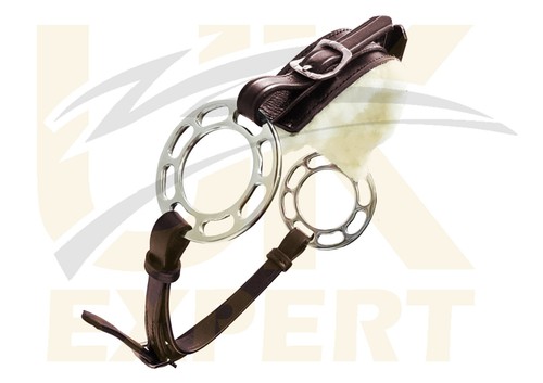 Expert best eque bitless - expert,